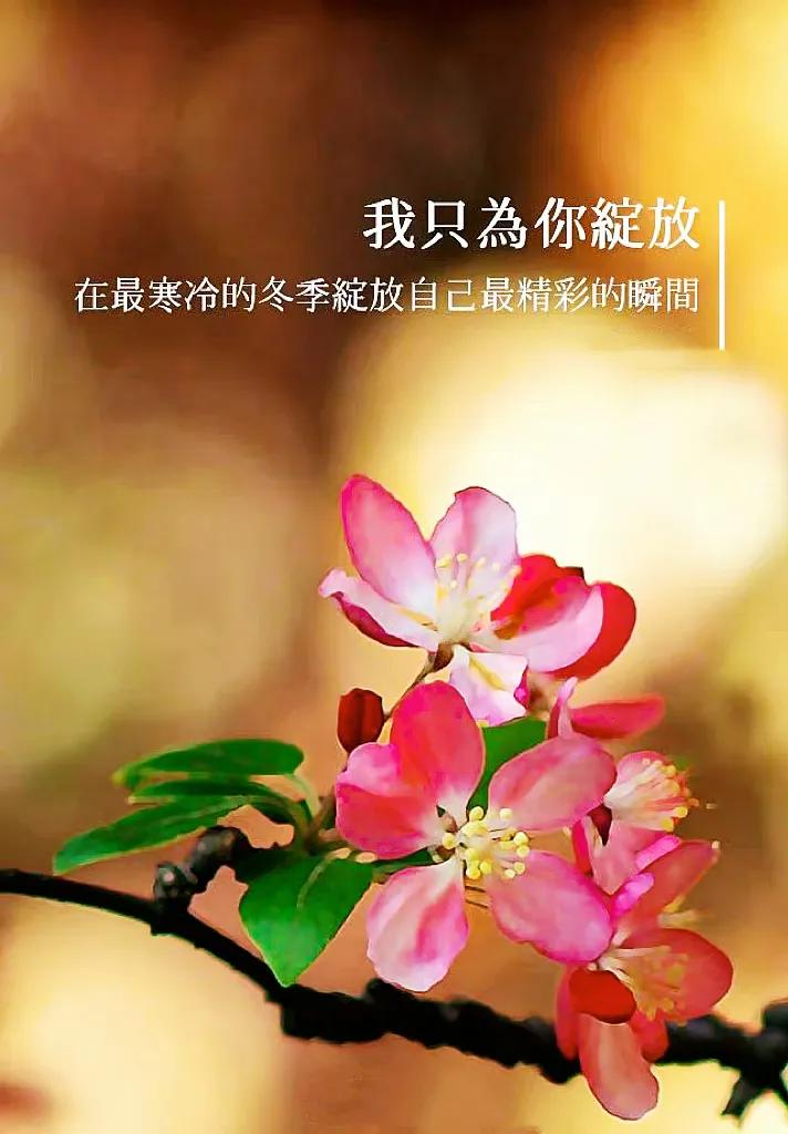 day3,闀胯窇day3娴嬭瘎