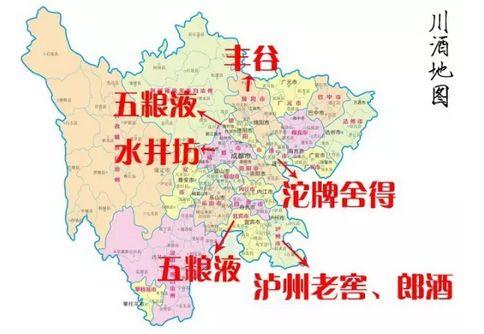 沱牌什么时候推出舍得,舍得42度沱牌老酒