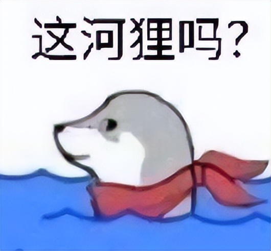 喜当爹!三只公猫凑不出一个蛋,结果...谁给母猫肚子搞大了!