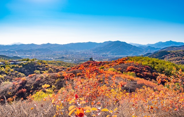 母亲节送礼物手镯,母亲节儿媳妇送的金镯子