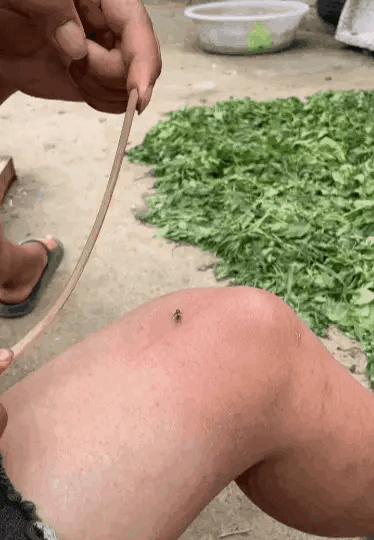 女孩子问我404是什么意思,女孩子说404是什么意思