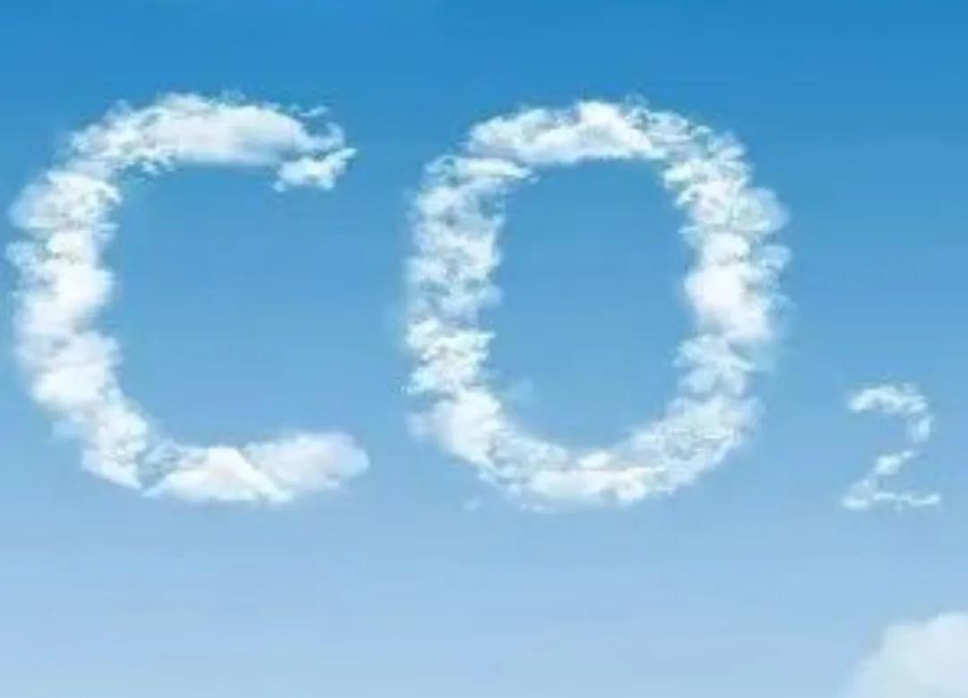 什么肥宅快乐水好喝,真正的肥宅快乐水是可口还是百事