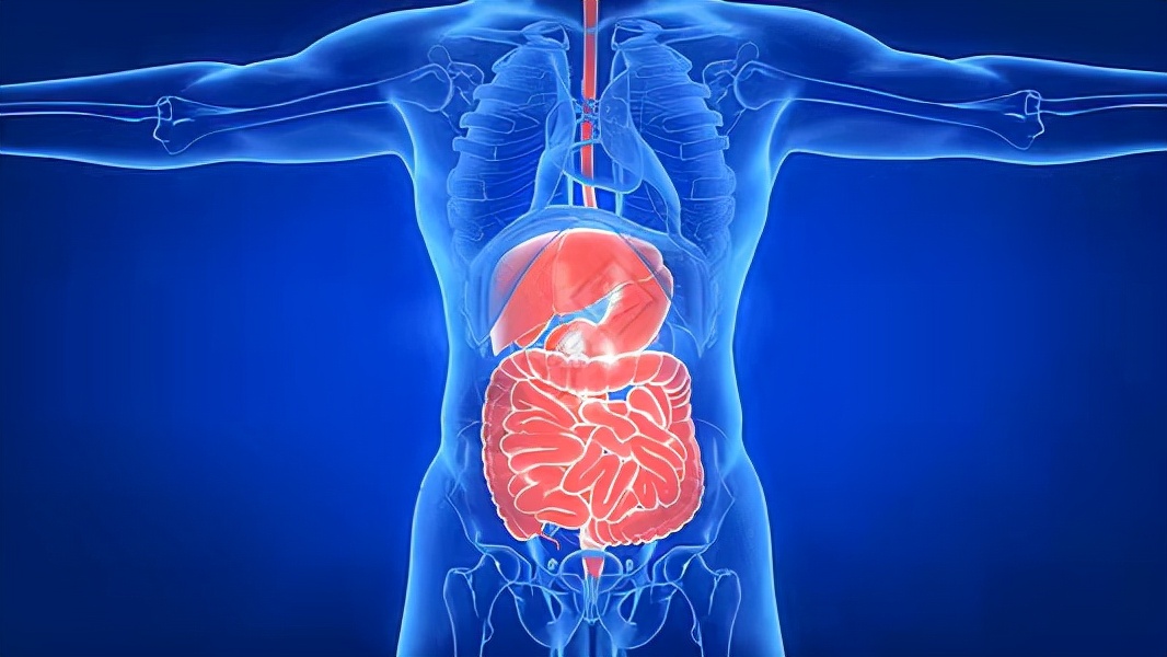 运动的方法和技巧有哪些,运动的方法