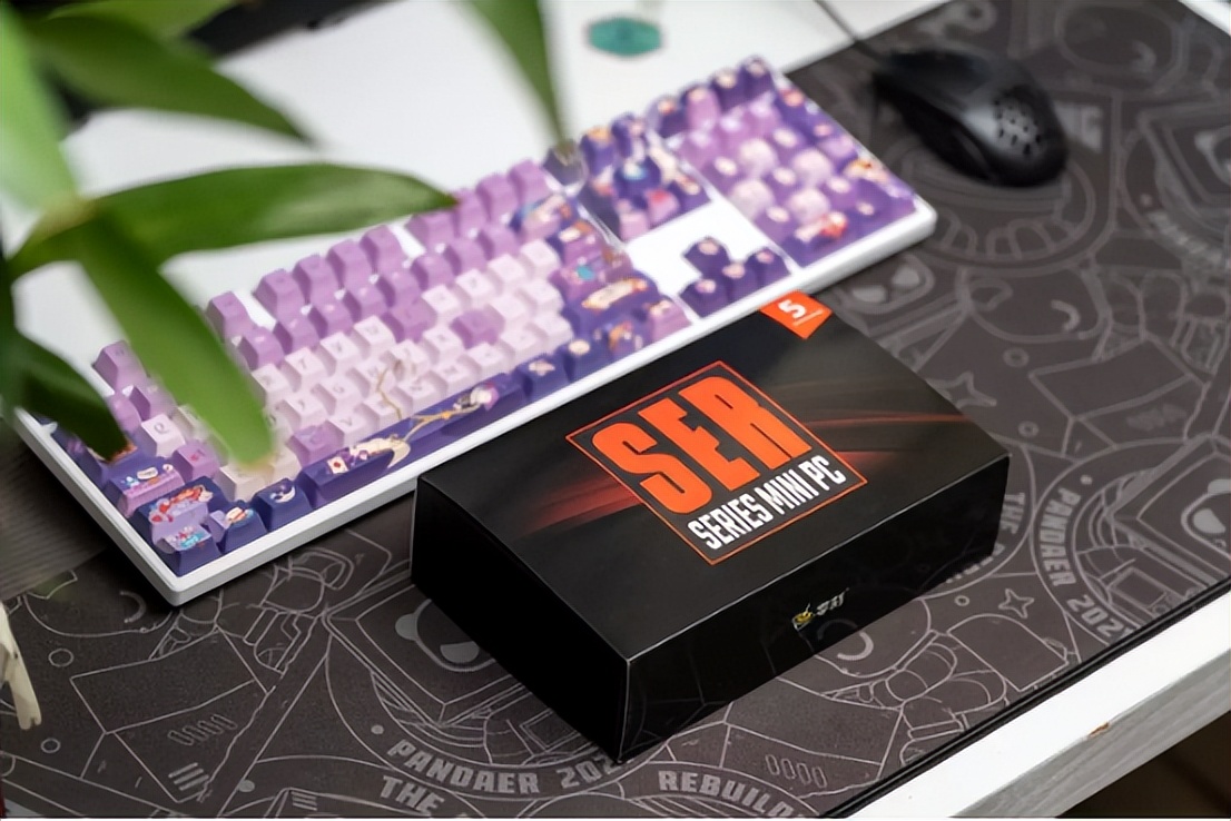 零刻ser5pro值得买吗,零刻ser5max5800h评测