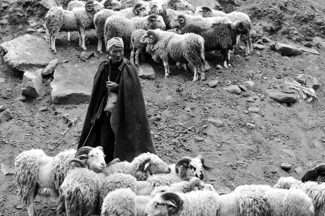 彝族千年传统民俗节日火把节、原生态赶集、幸福火车看凉山摄影团