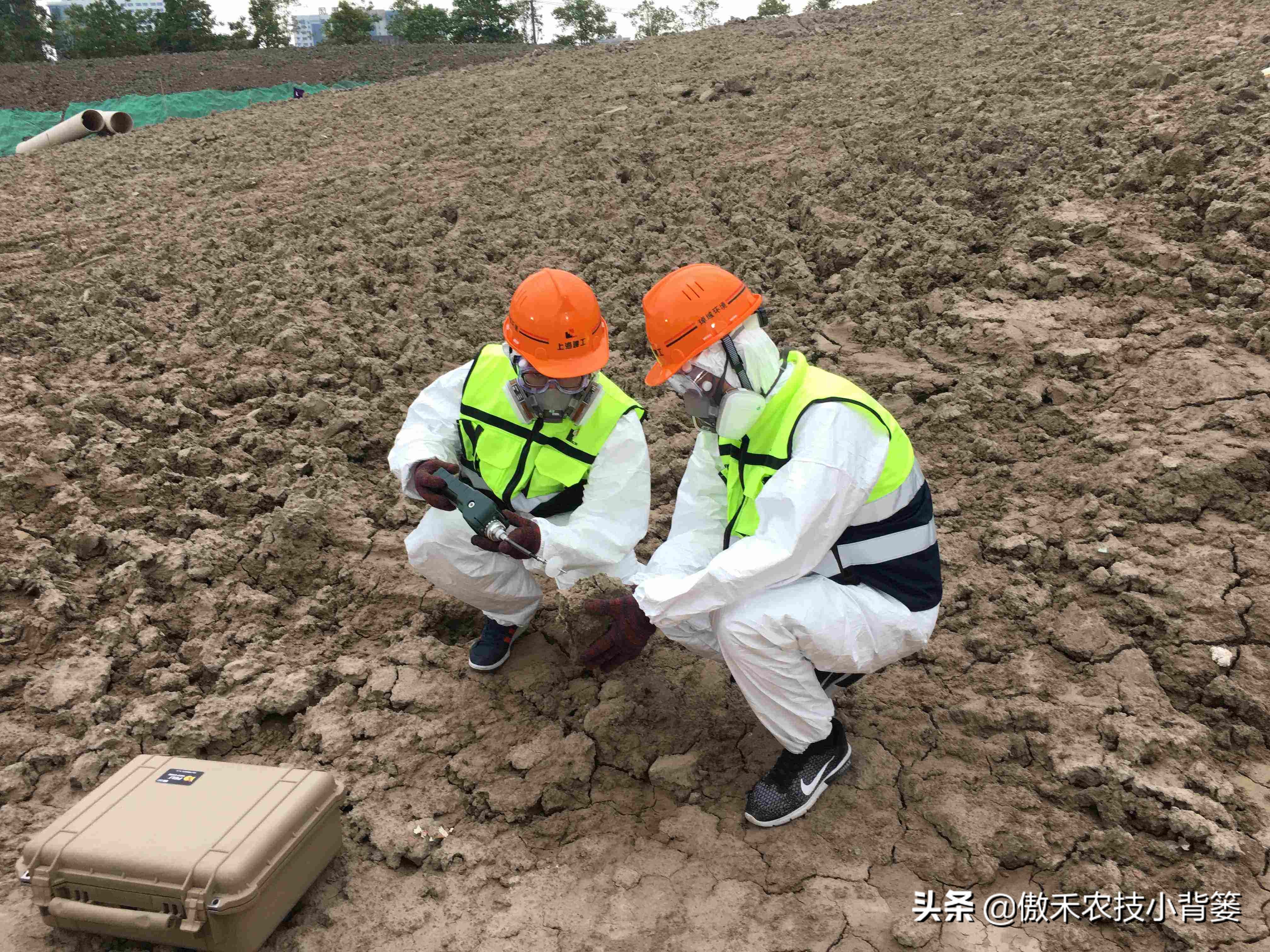 土壤酸化是怎么引起的,土壤酸化怎么造成的
