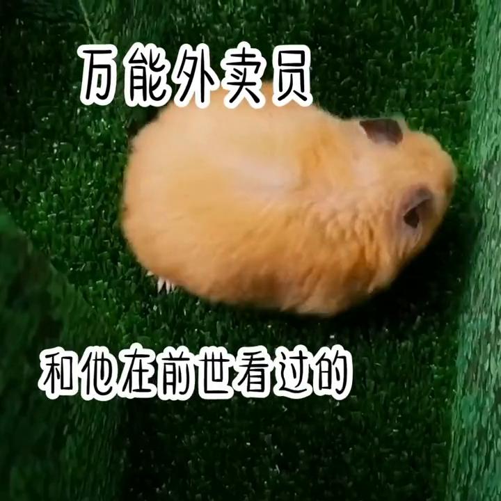 点赞评论关注精彩不断,关注点赞每日分享热门小说