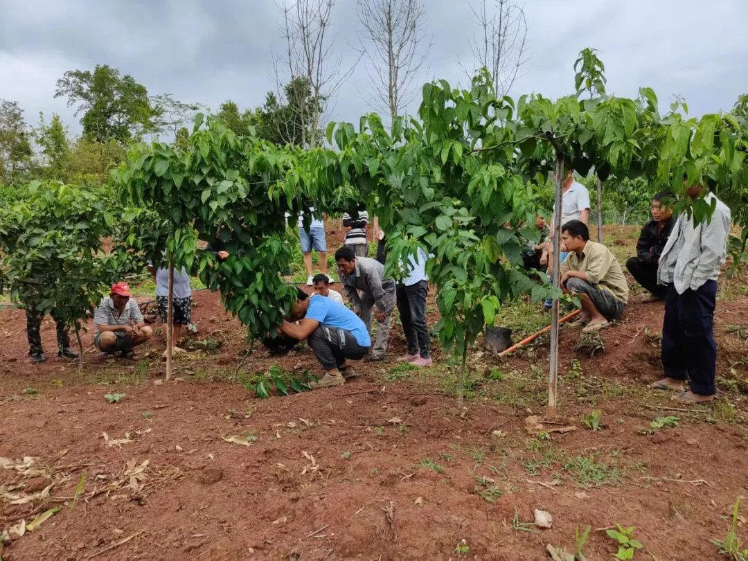乡村振兴之美丽乡村建设,乡村振兴成就美丽小村