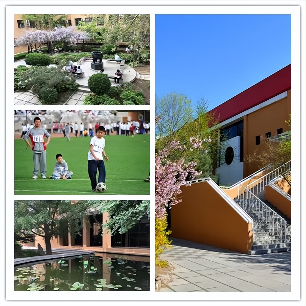 西城学校|十五中学录取分数线及特色课程