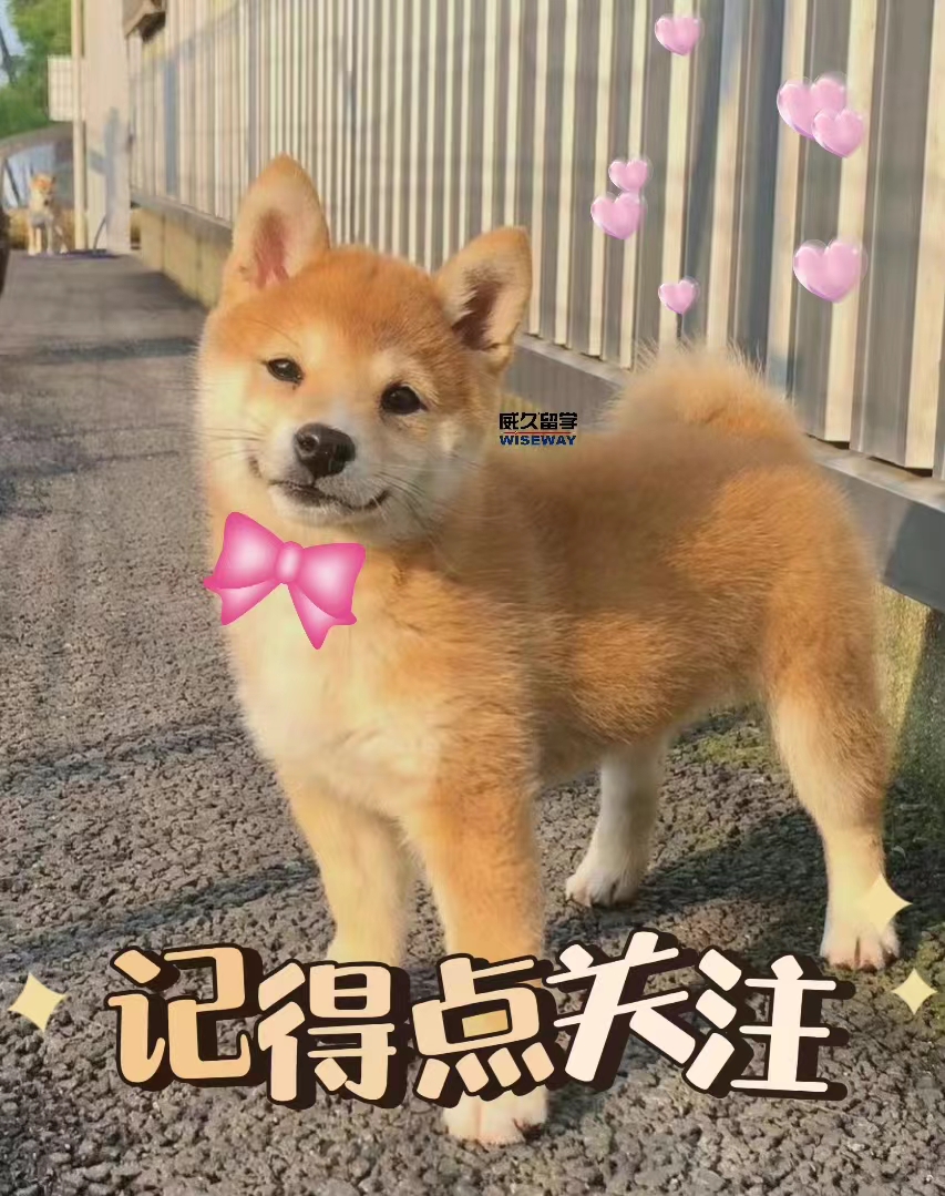 快来捡漏这9个冷门专业就业率高,冷门专业但前景火爆且就业选择多