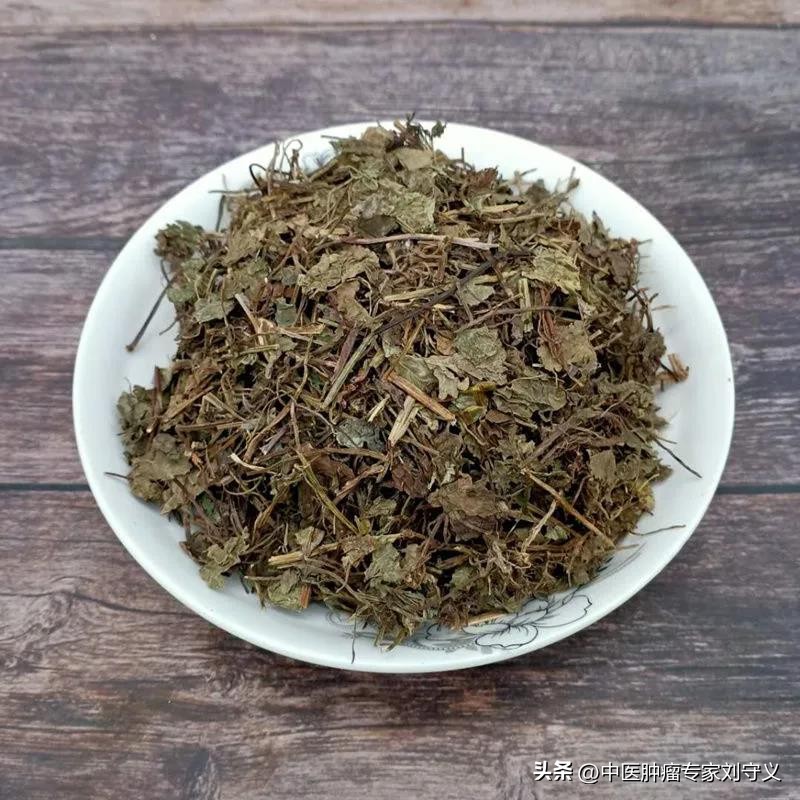 抗癌健体每日一药,十种解毒抗癌的草药