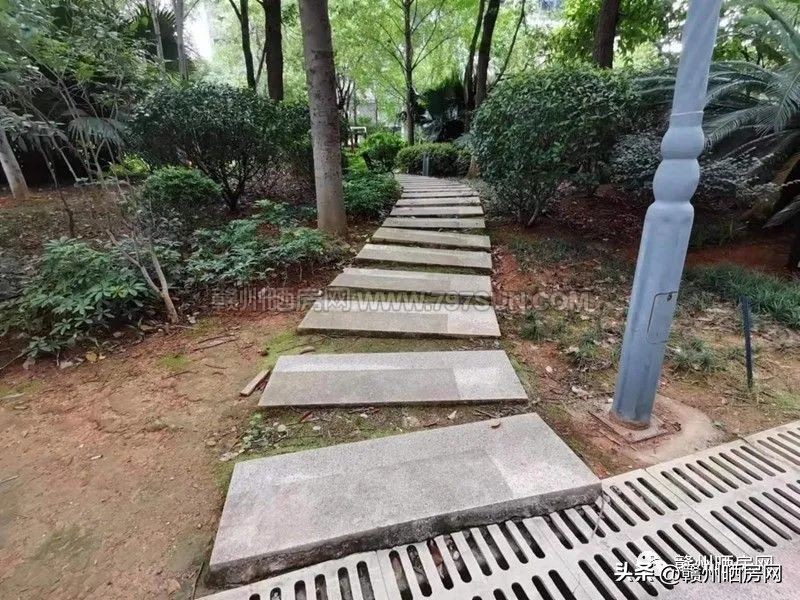 赣州房子天花板,赣州小区天花板