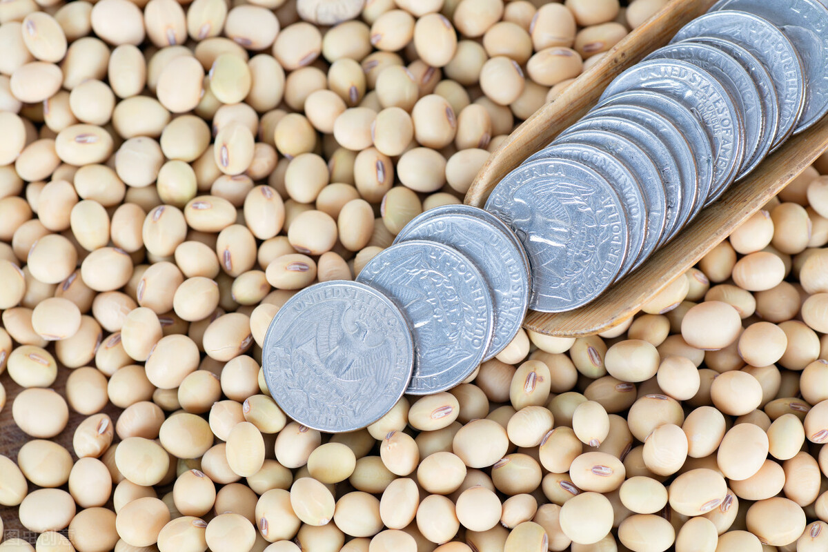 今天最新大豆价格涨了还是跌了,大豆行情今日大豆最新价格