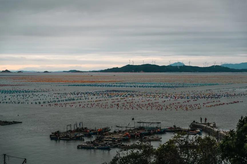 春节潮汕行腾龙28-75mmG2使用体验分享