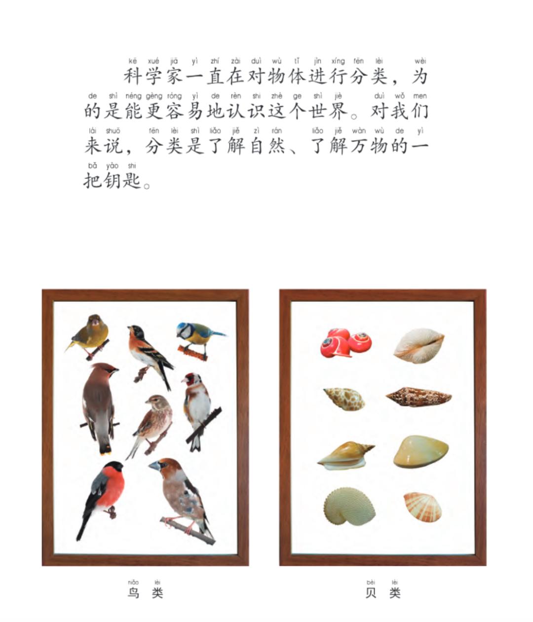 科学启蒙推荐视频,科学启蒙合集