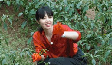 娱乐圈十位至今未婚的男明星,娱乐圈至今未婚的十位男明星