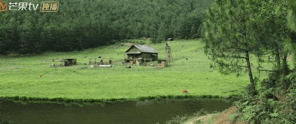 去有风的地方刘亦菲被说胖,去有风的地方刘亦菲忽胖忽瘦