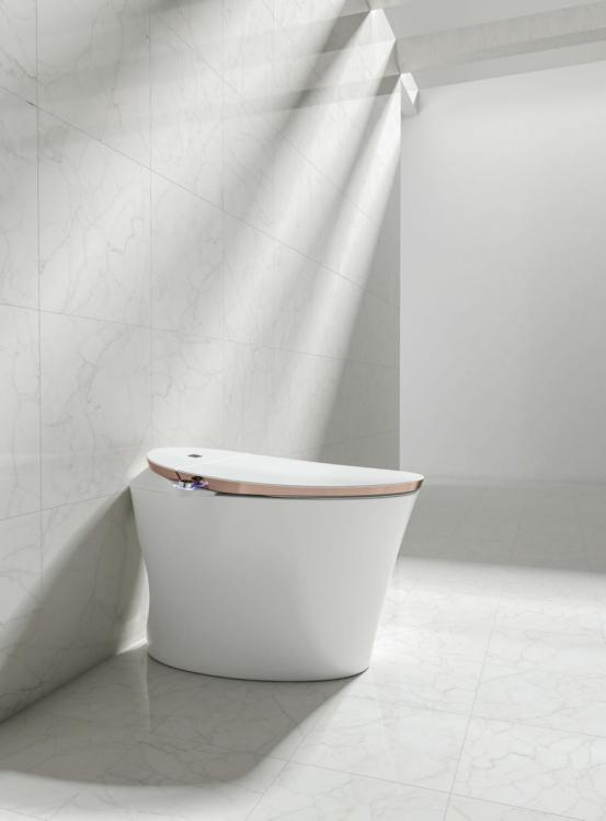 为什么用智能马桶不容易得痔疮呢,智能马桶对痔疮的好处