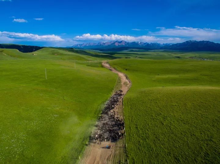 什么是甘肃,什么是甘肃地震