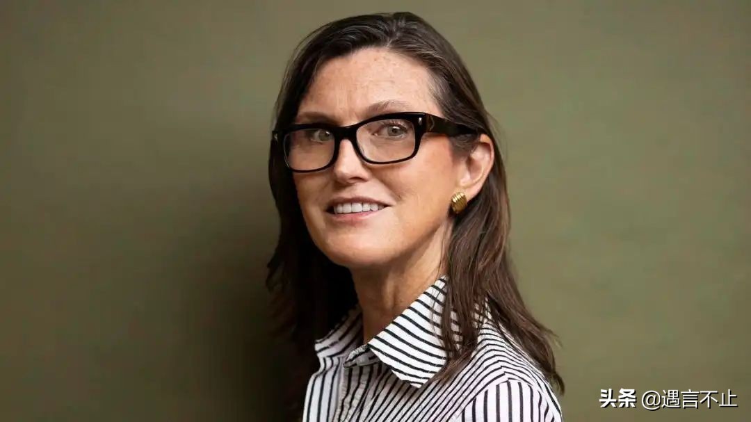 57岁封神，65岁翻车，女股神木头姐是被风吹上天的猪？