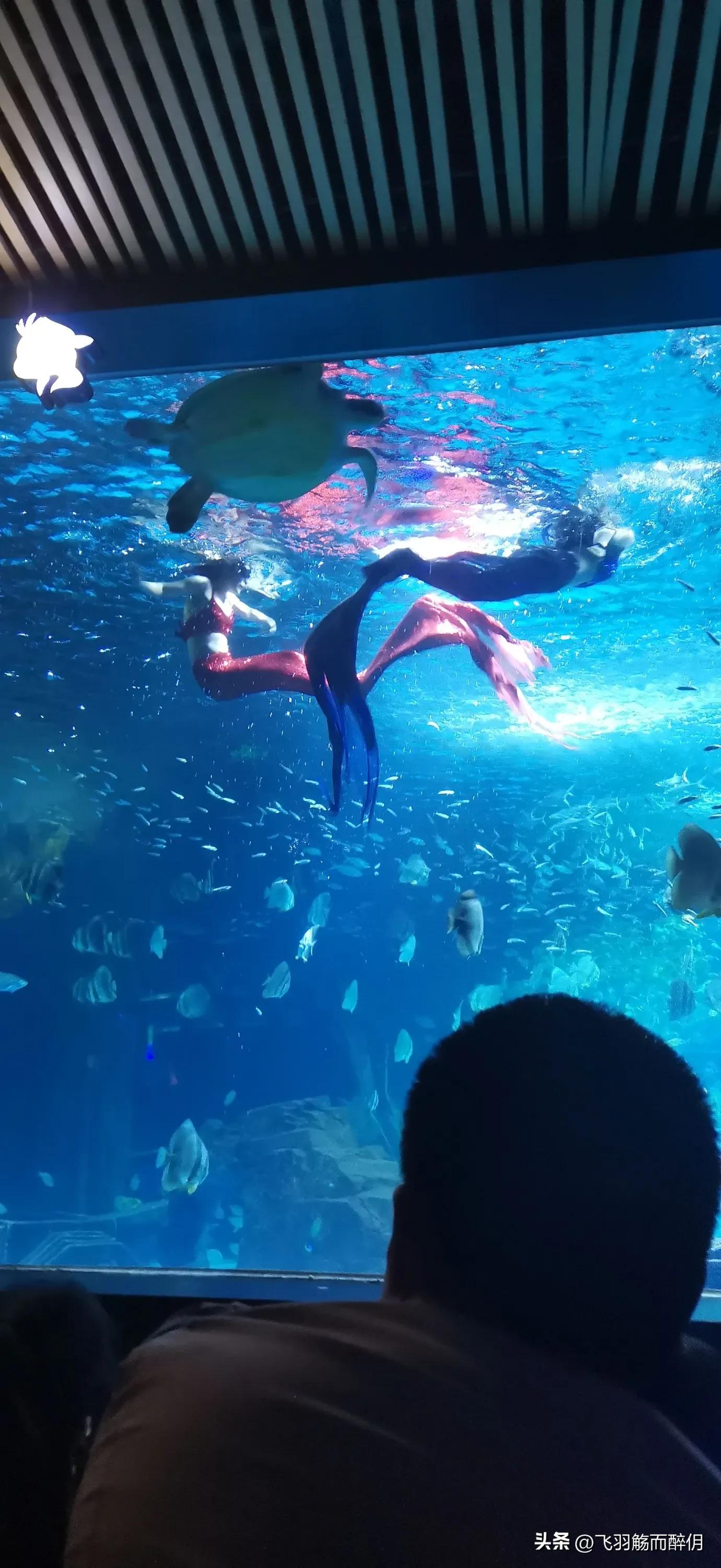 五一沧州一日游最佳攻略,沧州人五一去哪儿玩