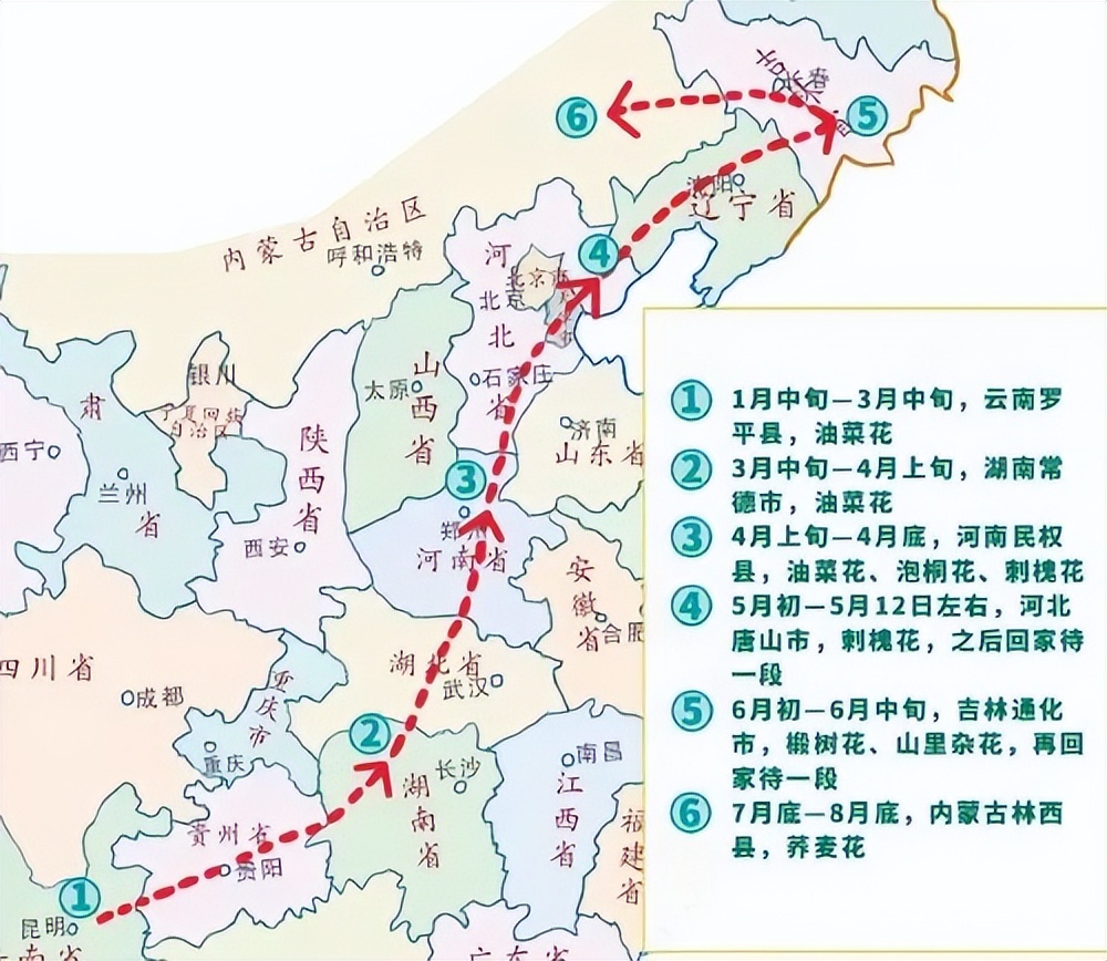 养蜂行情走势,养蜂前景最新信息
