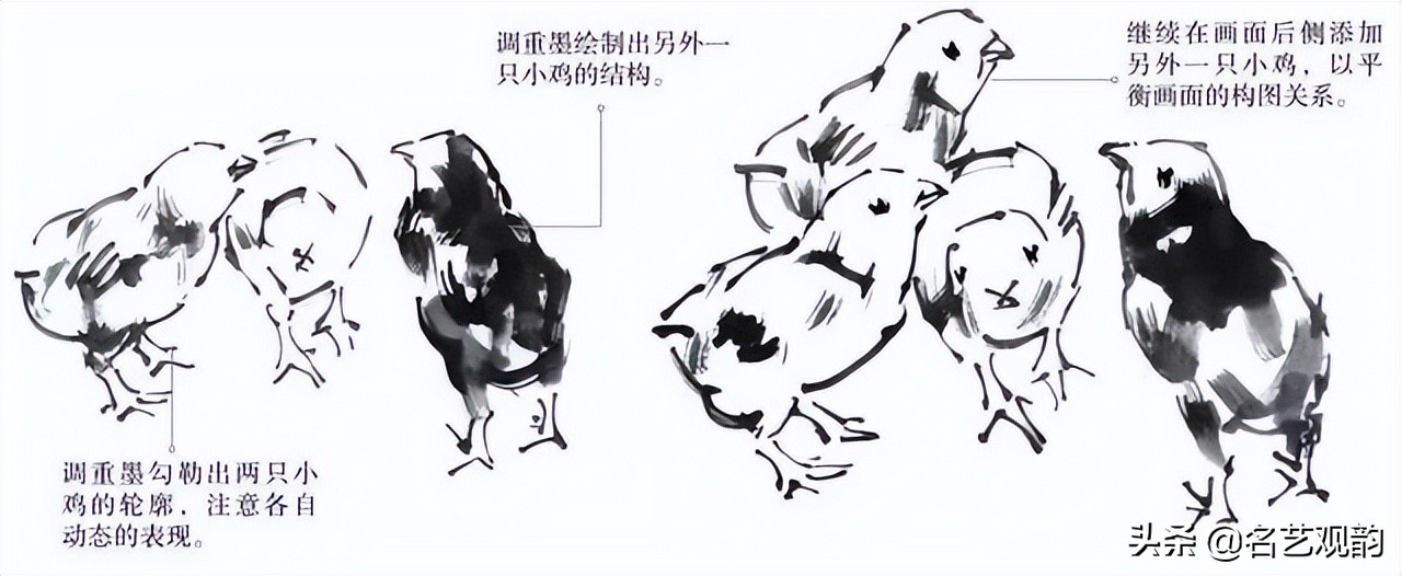 十二生肖鸡画法步骤,鸡的画法简笔画步骤