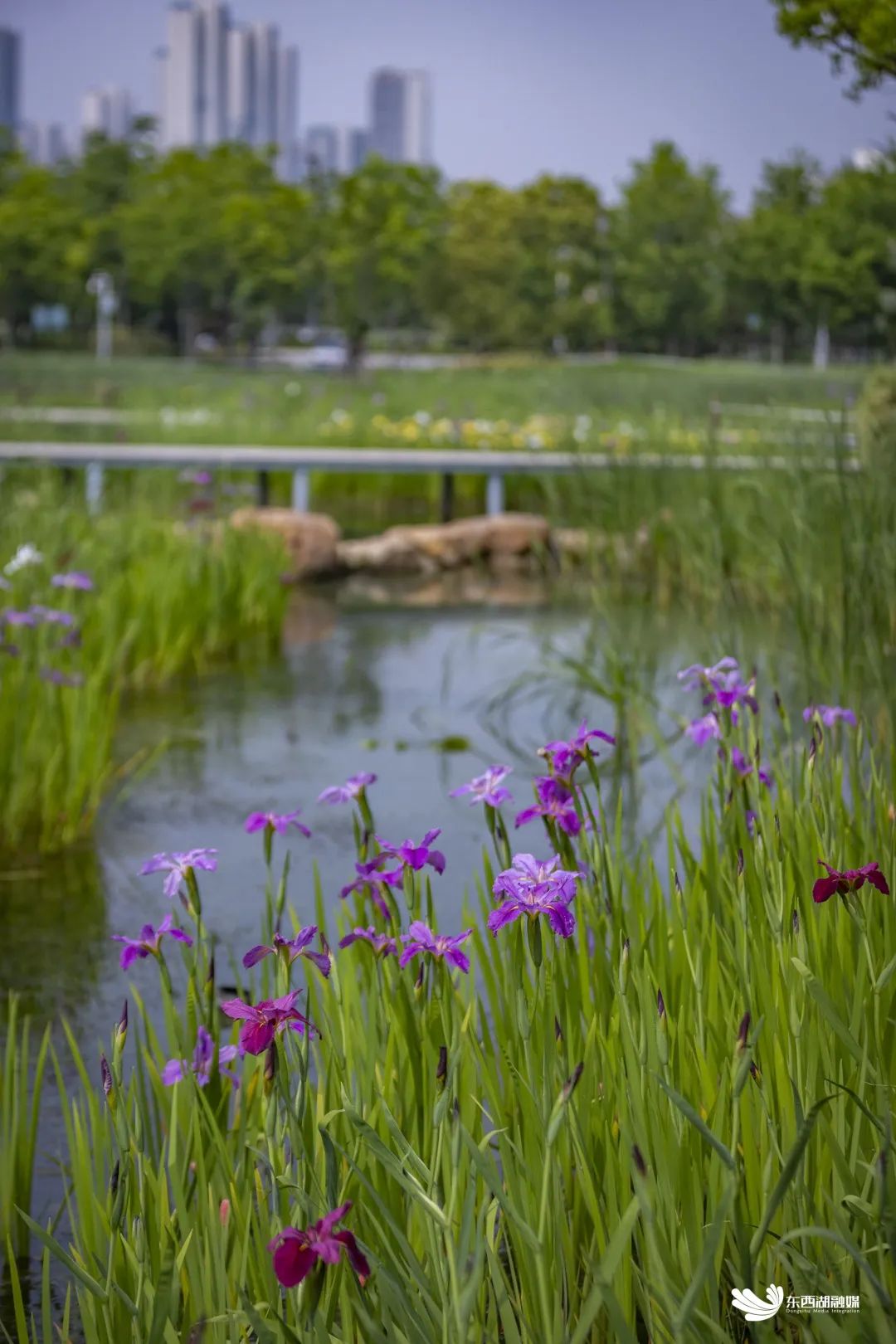 武汉东西湖奥林匹克花园,武汉东西湖碧海花园