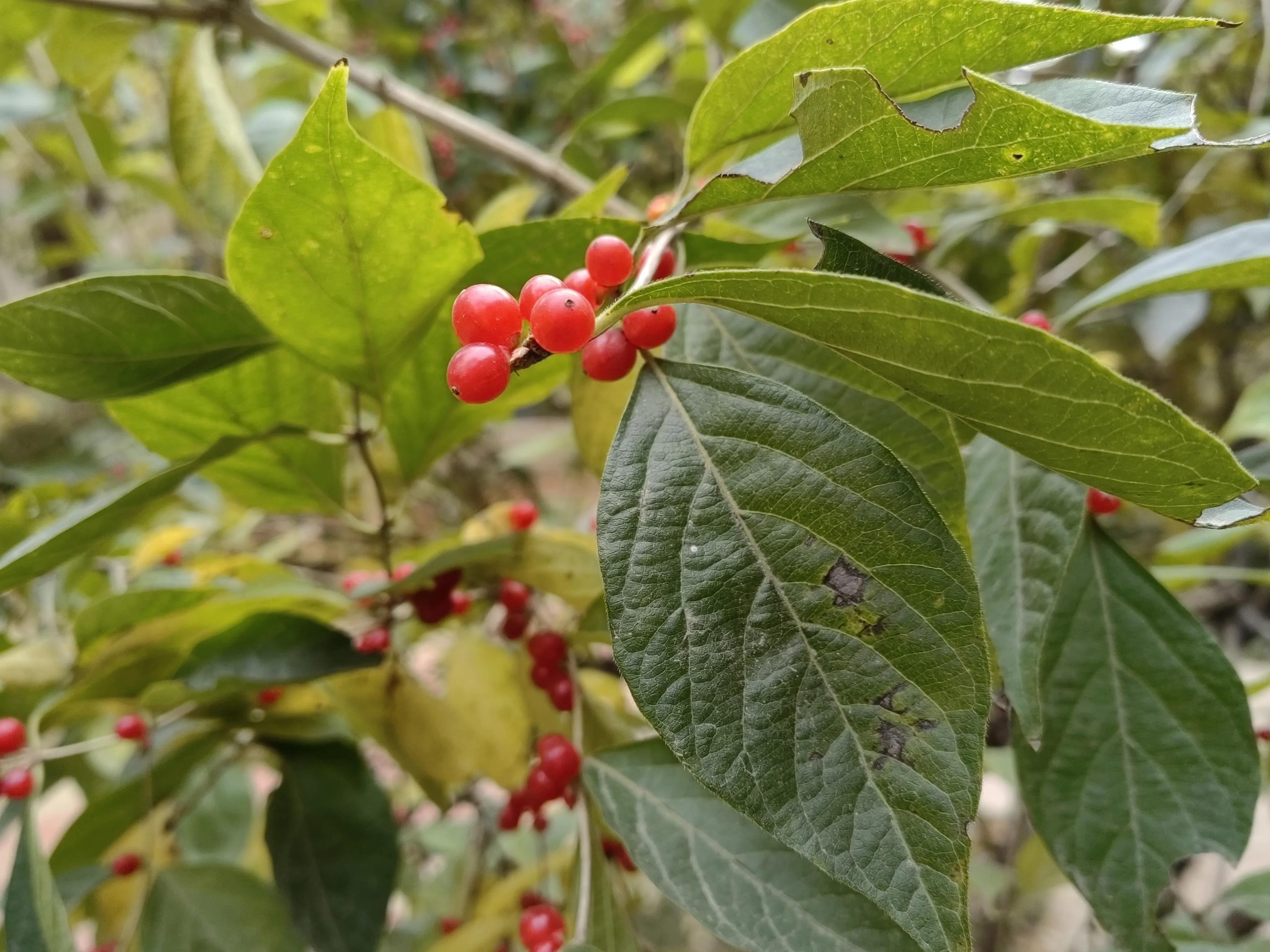 封控期间，一个人一见到我，就说他快疯了。怎么办呢？