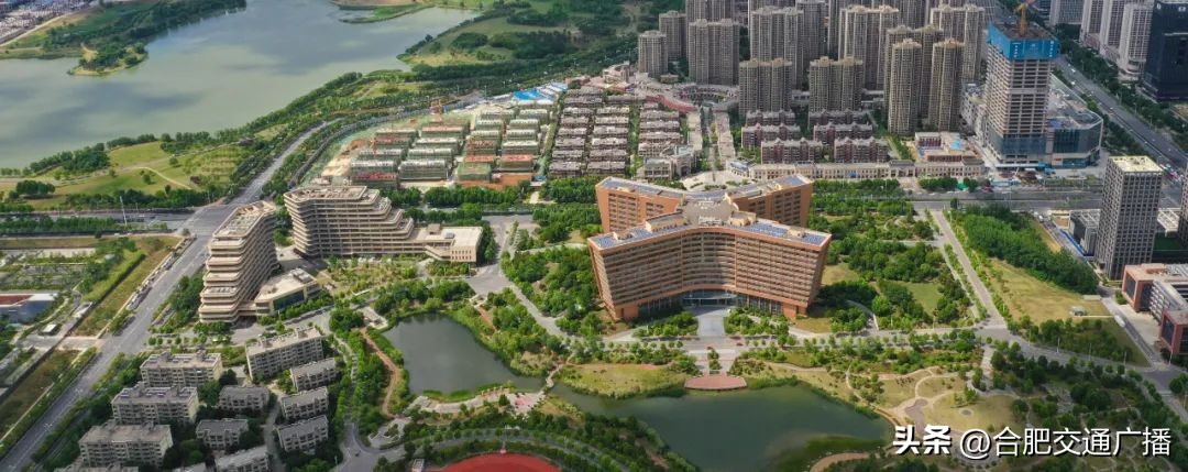 报名人数不断增长！合肥拿出20万个岗位的背后...