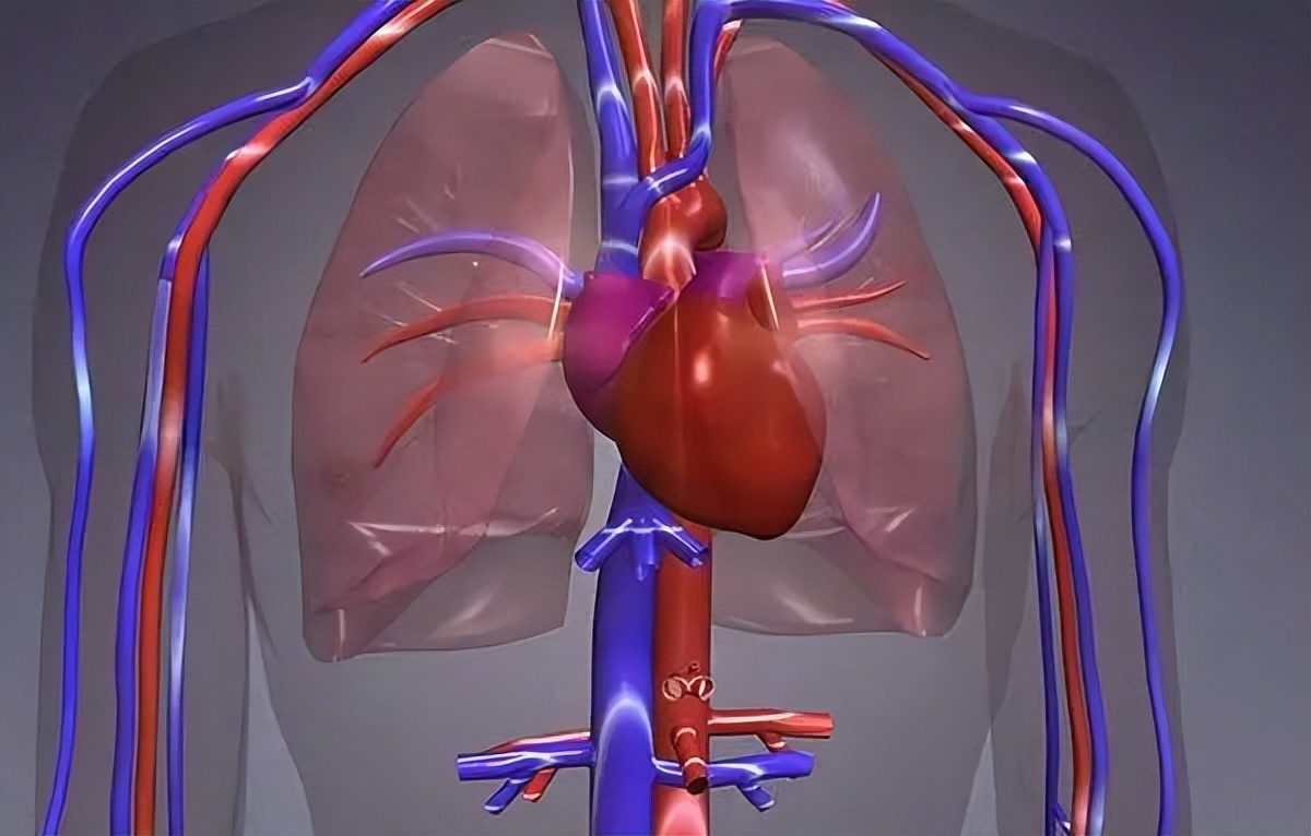 肺心病？可出现呼吸困难、心肺功能损害？如何缓解症状呢？