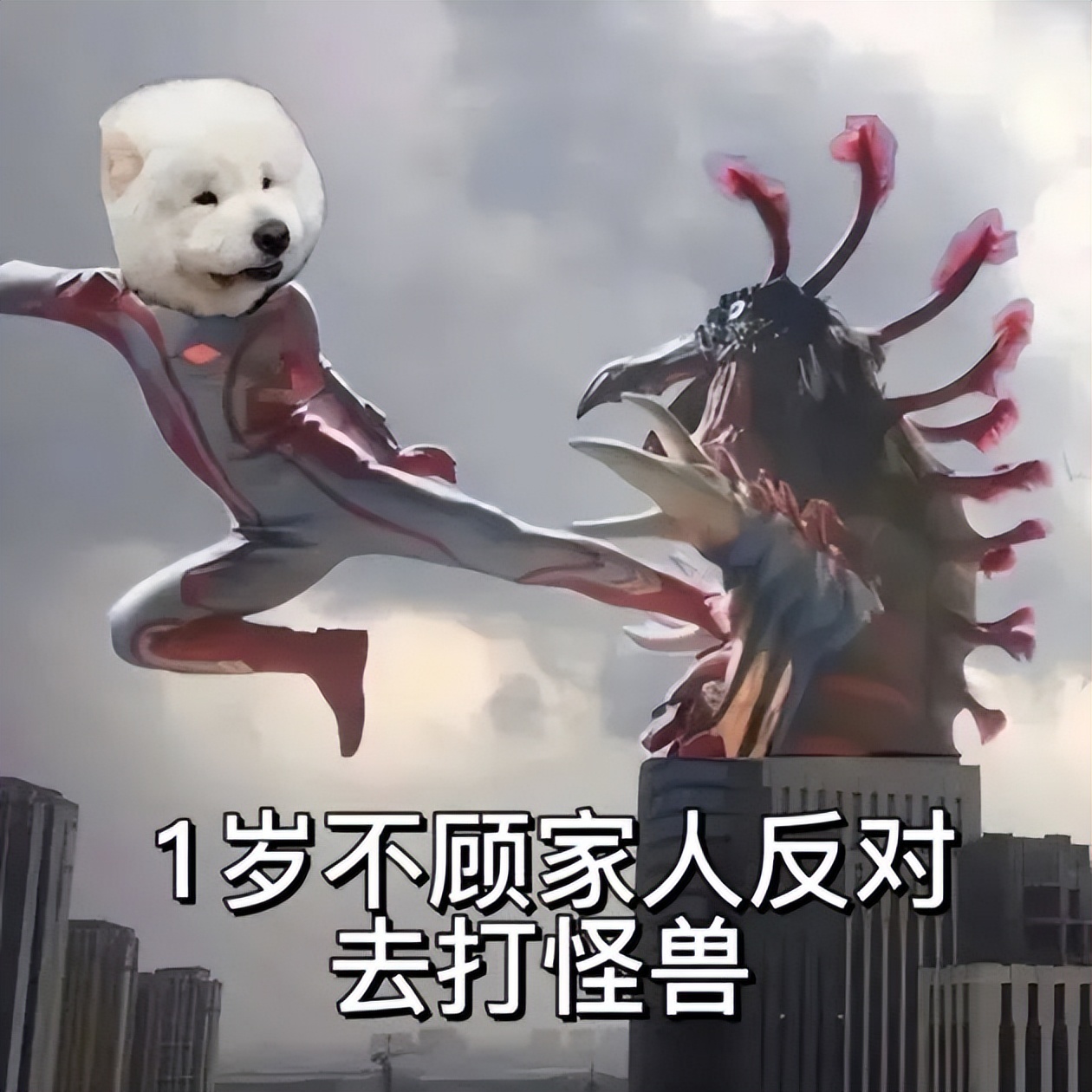 “家属出狱，接风洗尘？”网友的请假理由有多炸裂！