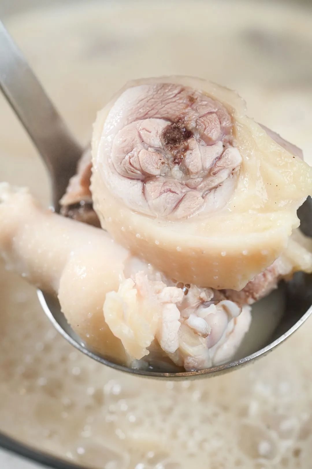 花胶鸡汤椰子水,椰子花胶煲鸡汤的做法及功效