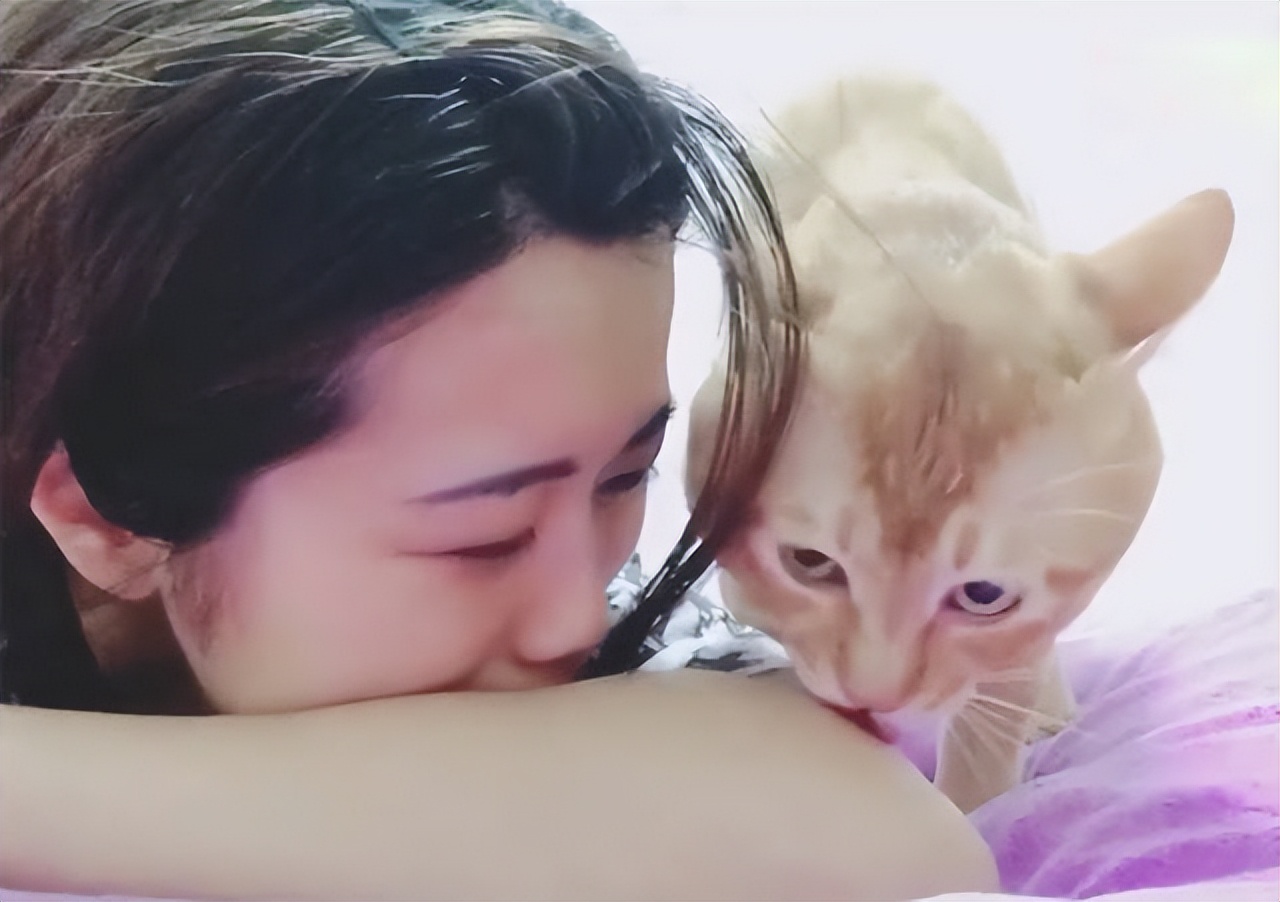 猫咪的10种秘密,养猫咪的5个常识