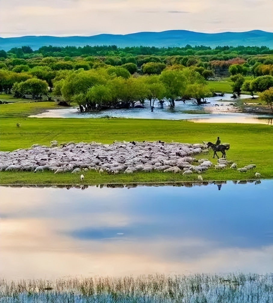 向北向北！|“美”在内蒙古