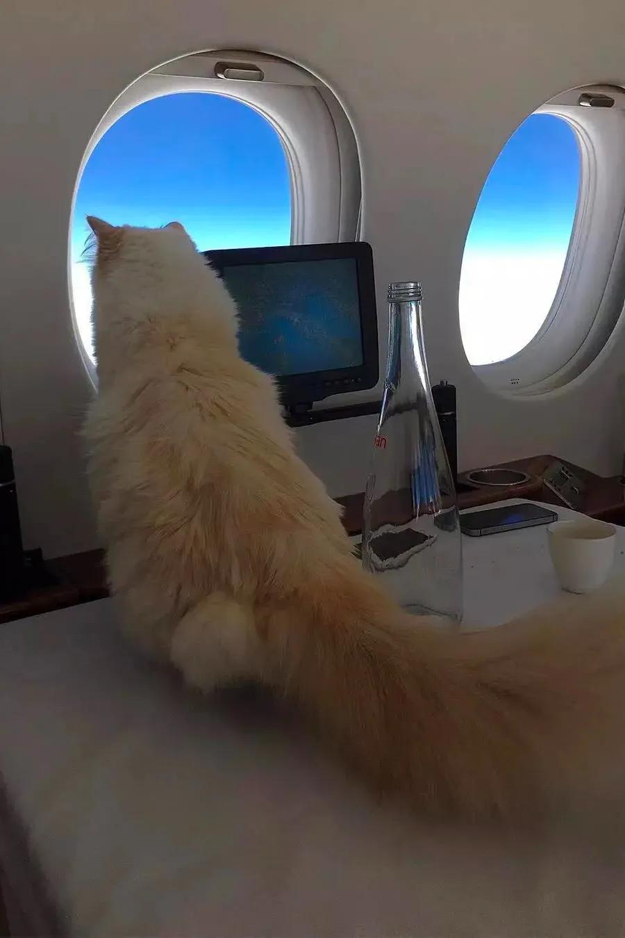 老佛爷酒店澳门价格,全球第二贵酒店