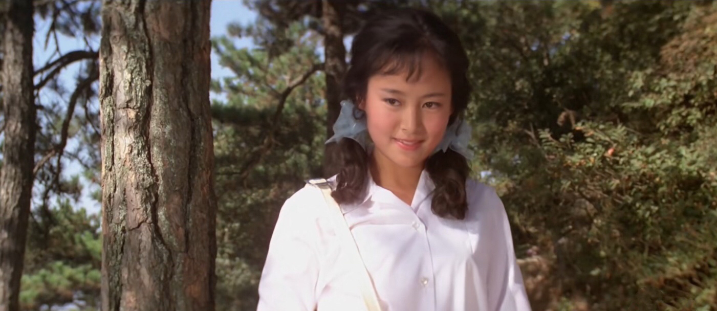 80年代一部爱情电影庐山恋,爱情经典电影庐山恋佳片欣赏