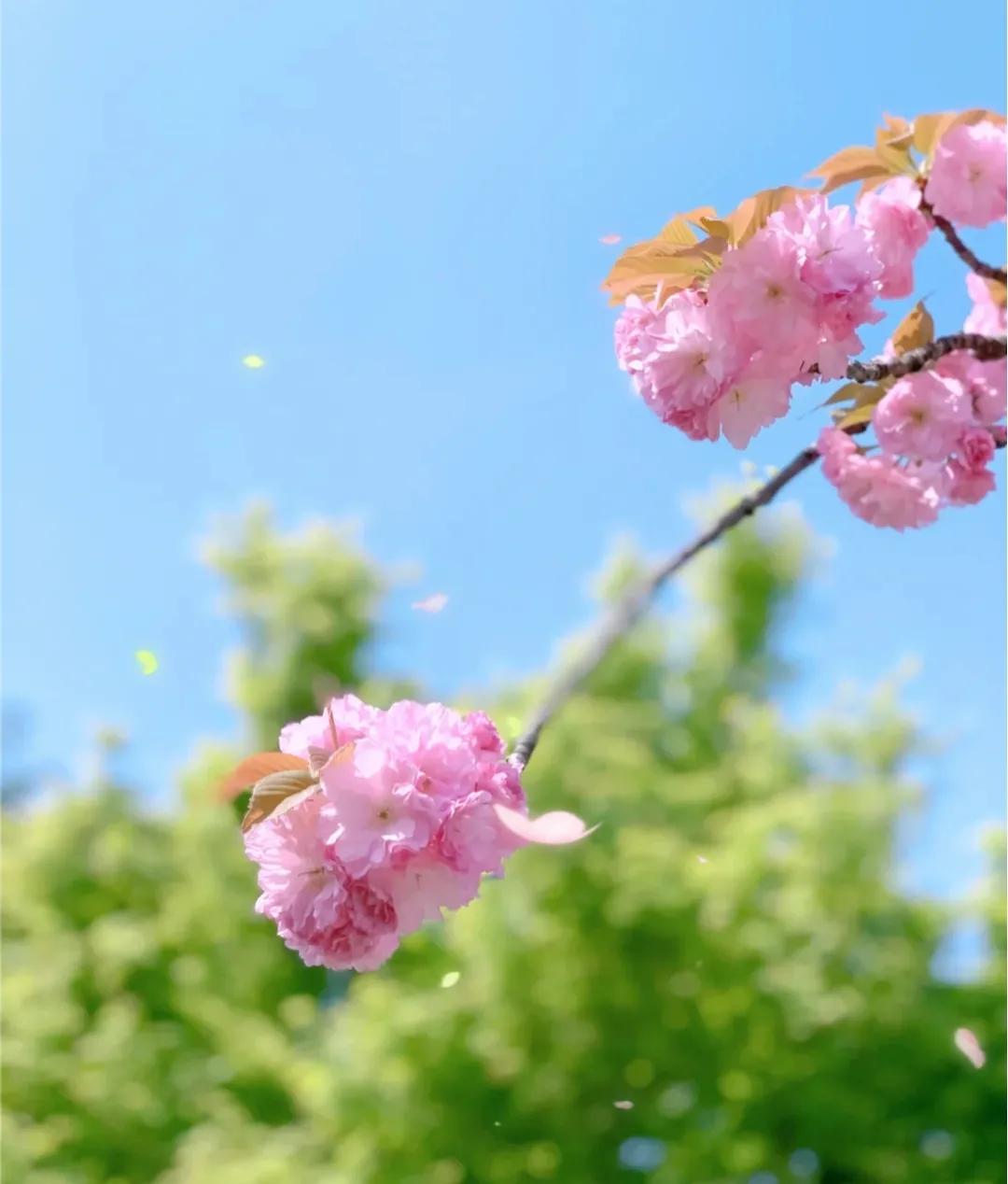 恋爱靠感觉 (爱情靠幻想结婚靠合适)