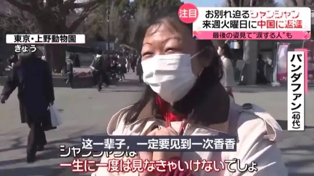 大熊猫香香回国日本民众哭着告别,大熊猫香香回国日本民众哭了