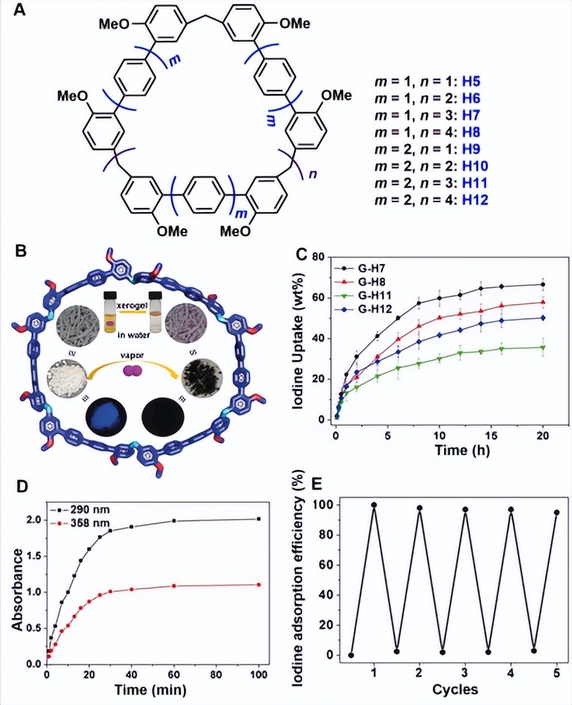PXG/H13在非共价相互作用下，是如何有效阻止PXG反应的