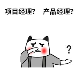 产品经理和项目经理都叫pm,产品经理和项目经理pmp