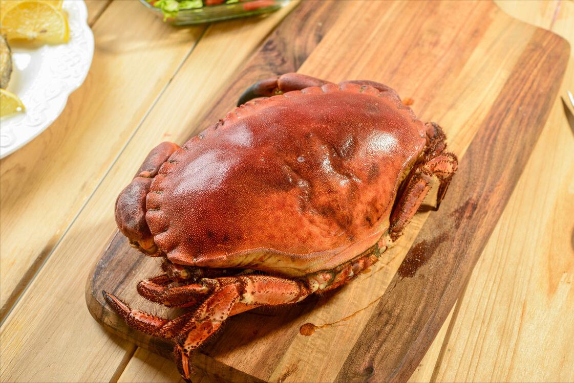 12种常见螃蟹的区别与特点,常吃螃蟹种类区分图解