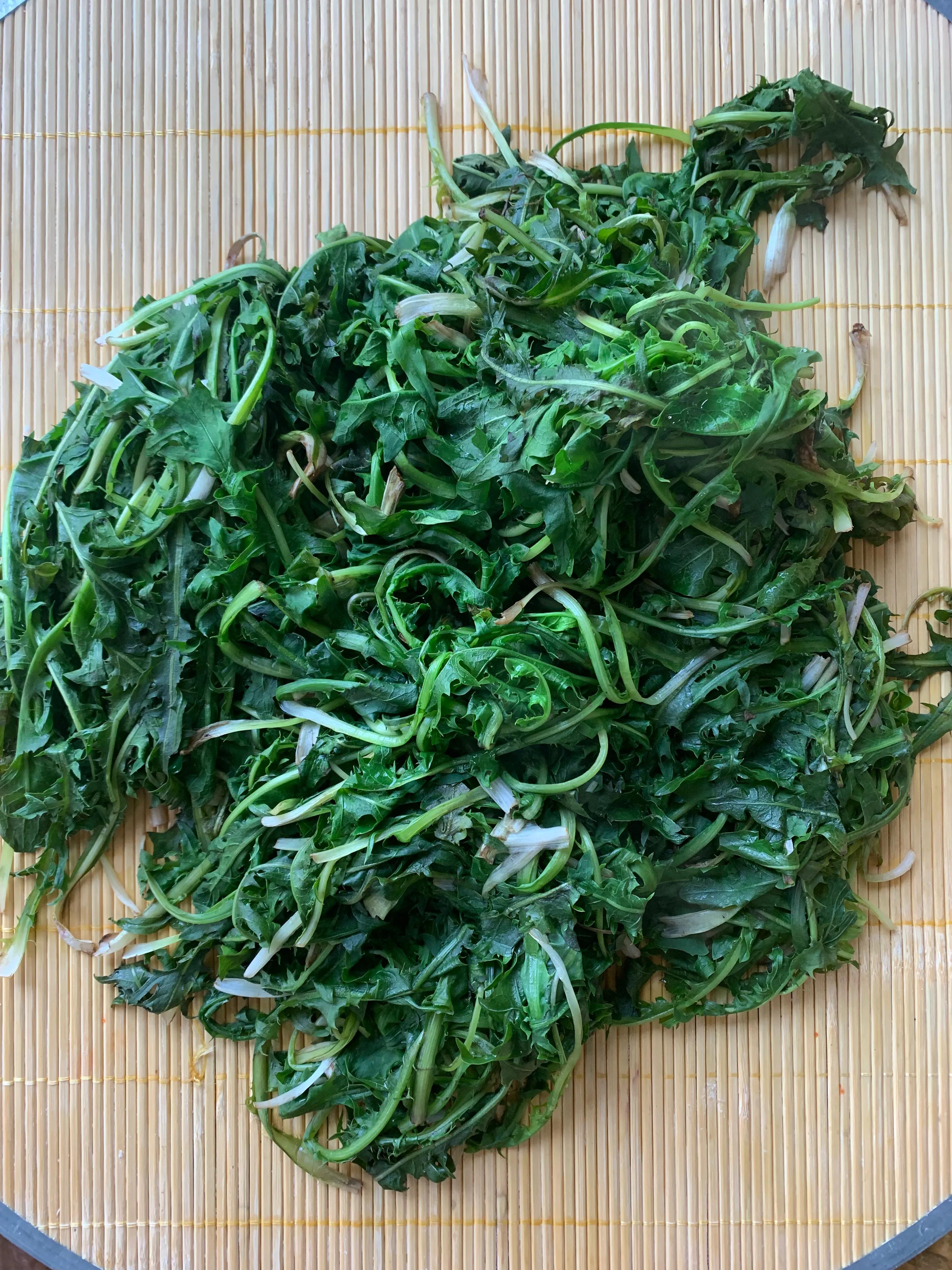 把蒲公英比作成了手掌写出了什么,把蒲公英吃掉