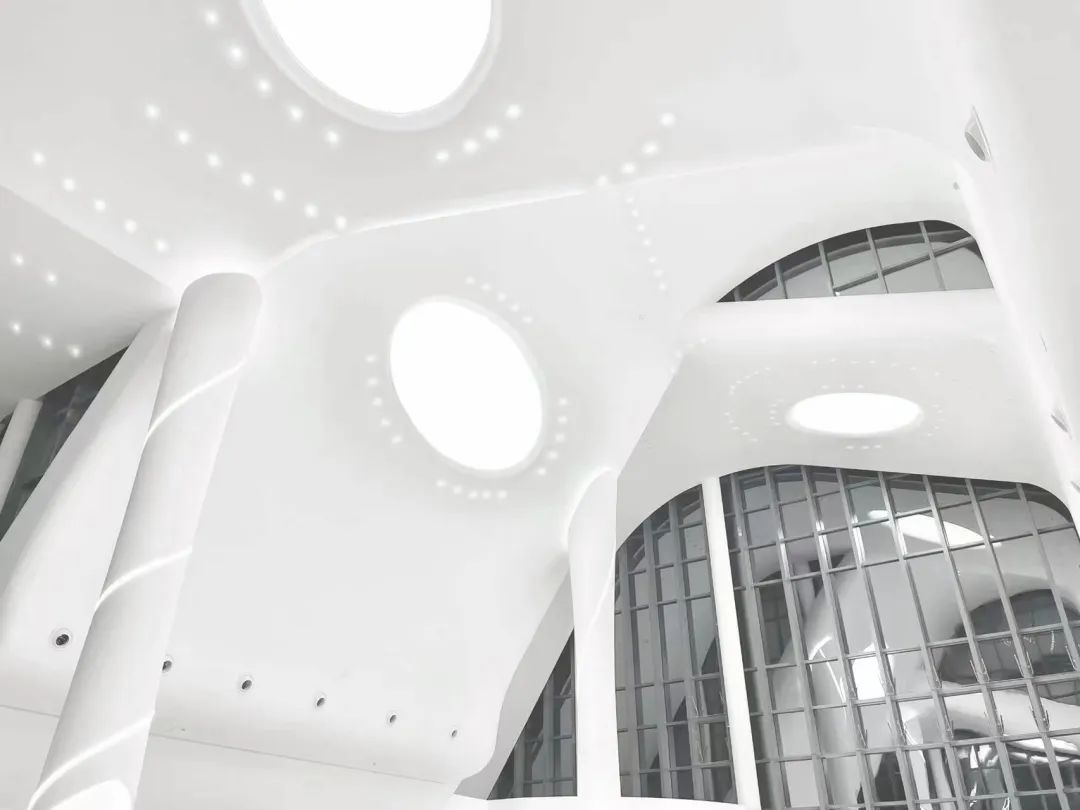 衡水园博园改造,衡水湖改造工程