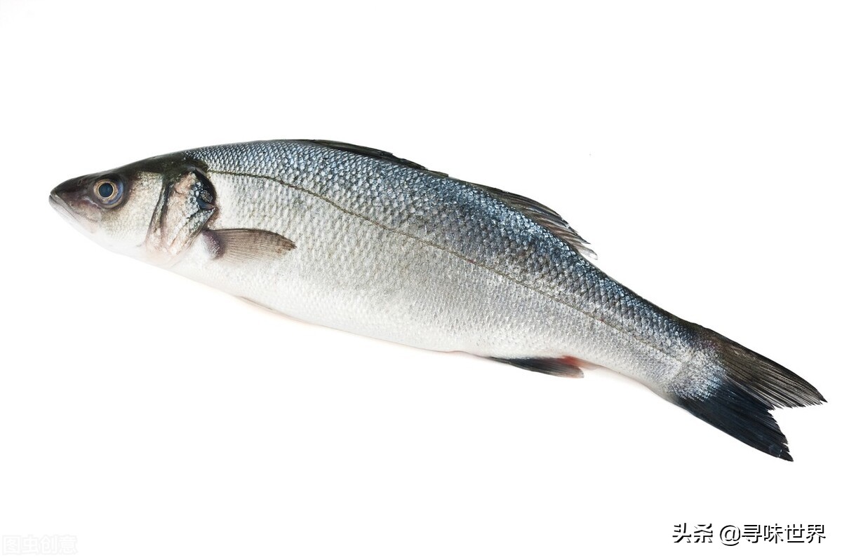 常见家常海鱼品种大全及图片,最好吃的海鱼品种大全及图片