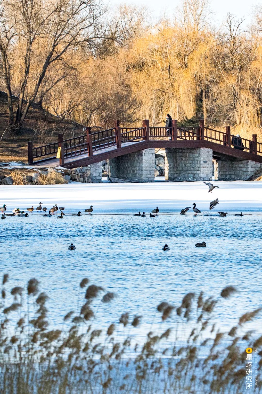 如果圆明园没有被烧,没有被毁灭的圆明园长什么样
