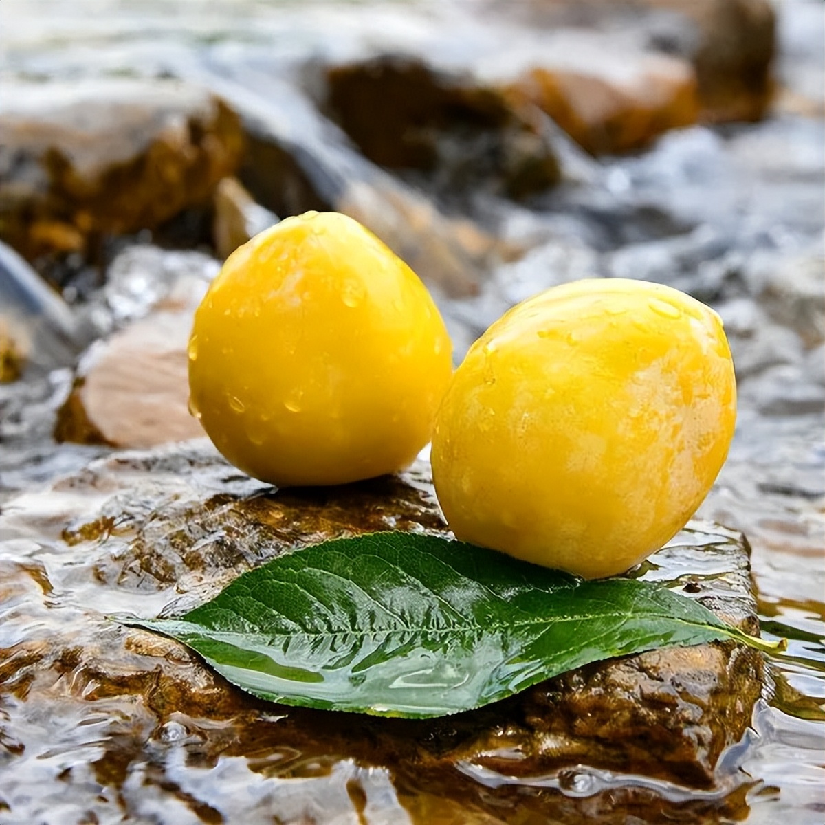 暑假韶关有什么好玩的地方,韶关周边避暑胜地亲子游