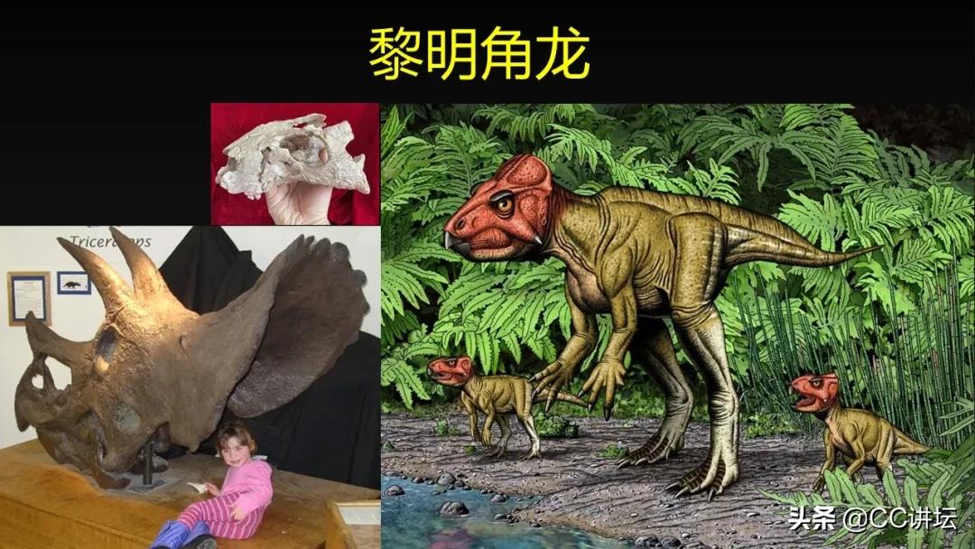 海洋恐龙和陆地恐龙,海洋恐龙与陆地生物对比