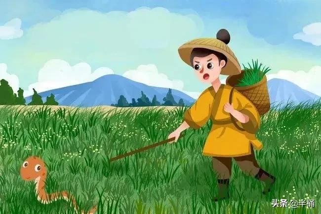 打蛇没打死会报复吗,经常打蛇会被蛇报复吗