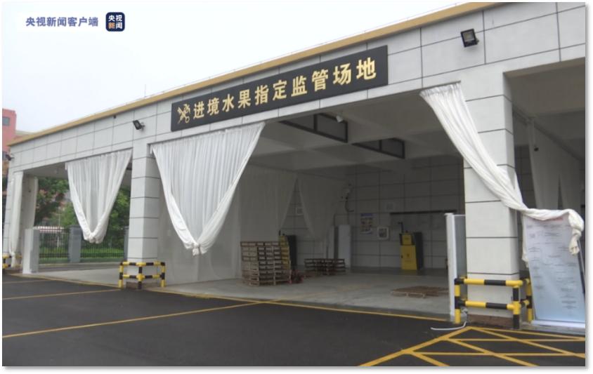 一根香蕉的奇幻旅程,一根香蕉的新奇历程